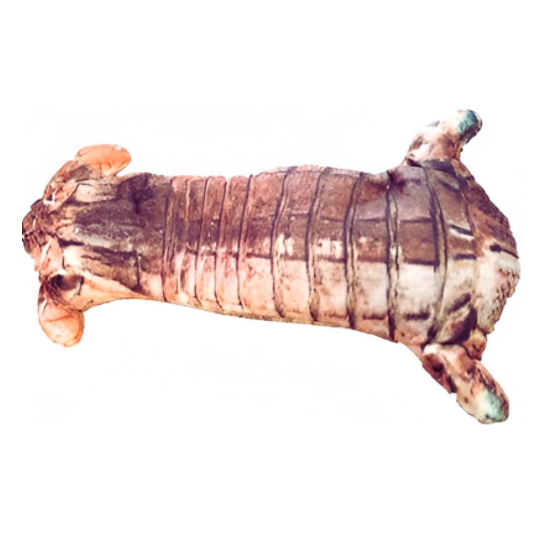 PESCADO ELECTRÓNICO CON SENSOR MOVIMIENTO PARA GATO MODELO 3 - 6