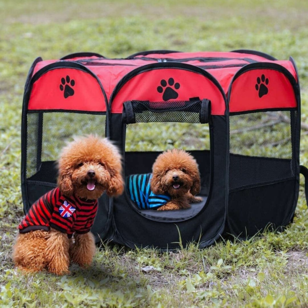 CORRAL PLEGABLE L PARA MASCOTAS ROSA - 2