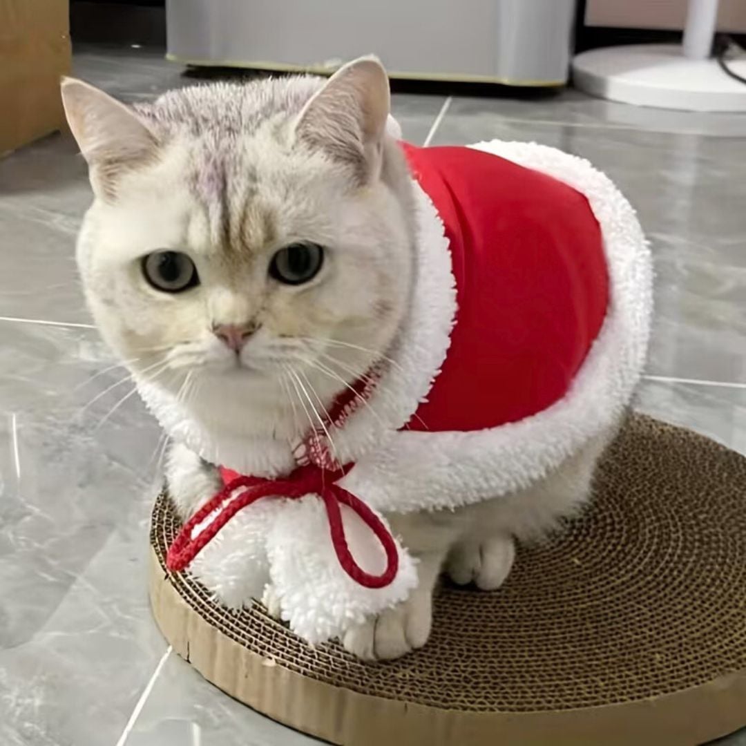 CAPA CON CAPUCHA Y LAZO AJUSTABLE PARA NAVIDAD PARA MASCOTAS TALLA L - 6