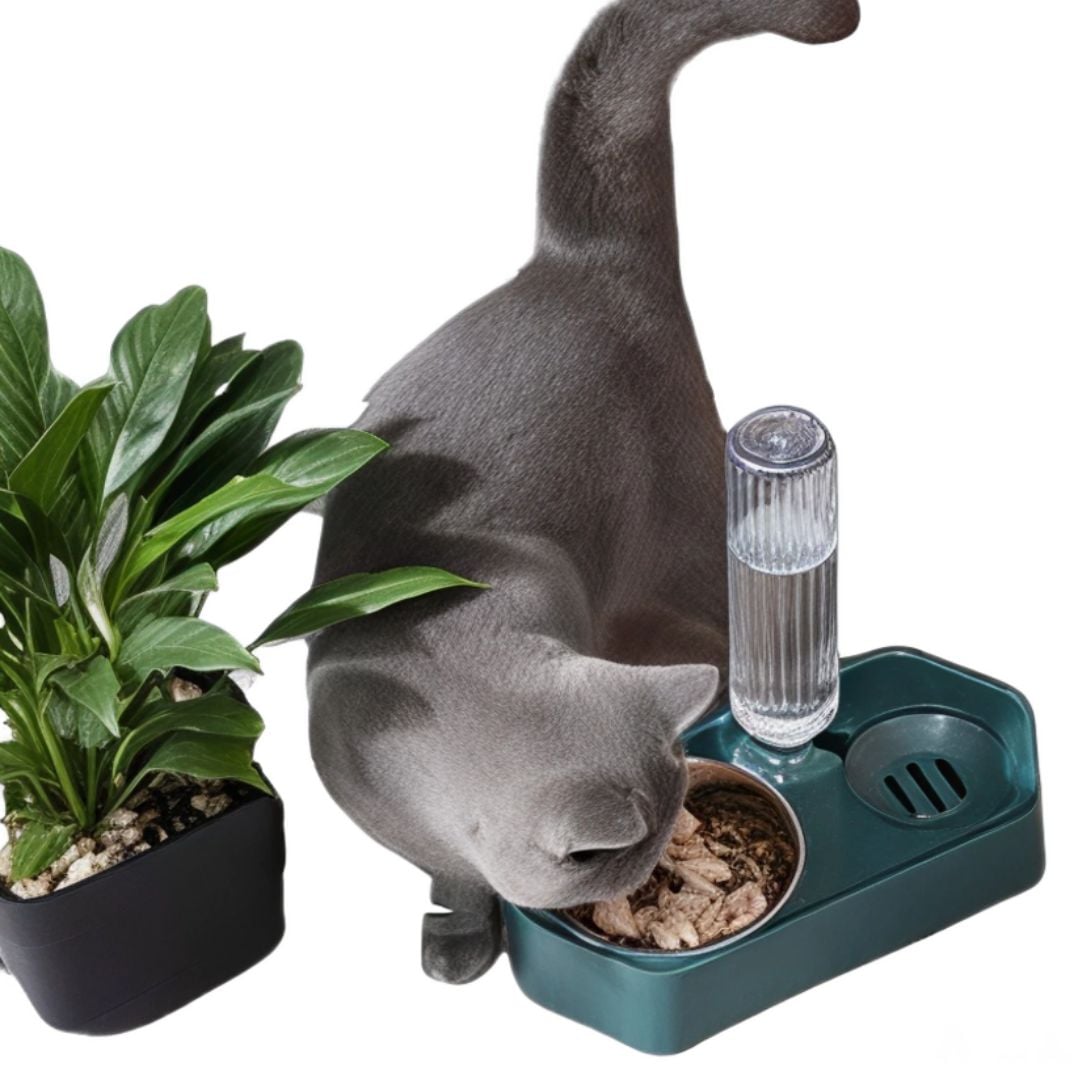DISPENSADOR AUTOMÁTICO DE BOTELLA TALLA L PARA MASCOTAS - 5