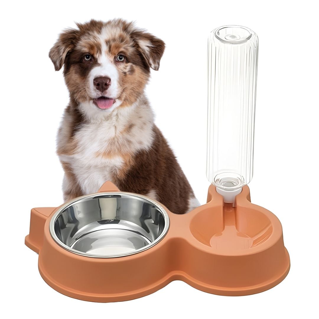 DISPENSADOR AUTOMÁTICO DE BOTELLA TALLA XL PARA MASCOTAS - 1