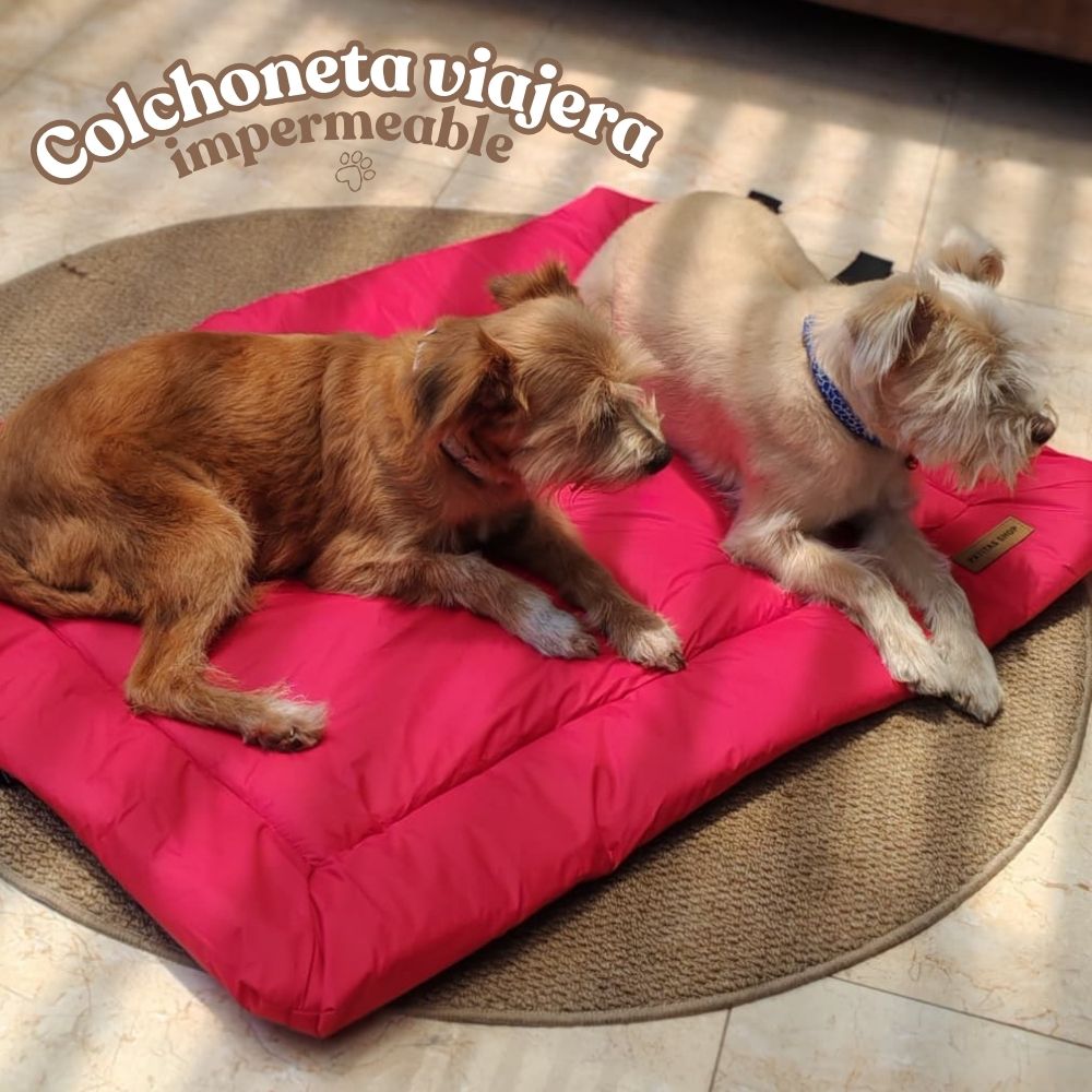 COLCHONETA VIAJERA IMPERMEABLE PATITAS SHOP PARA MASCOTAS - 9