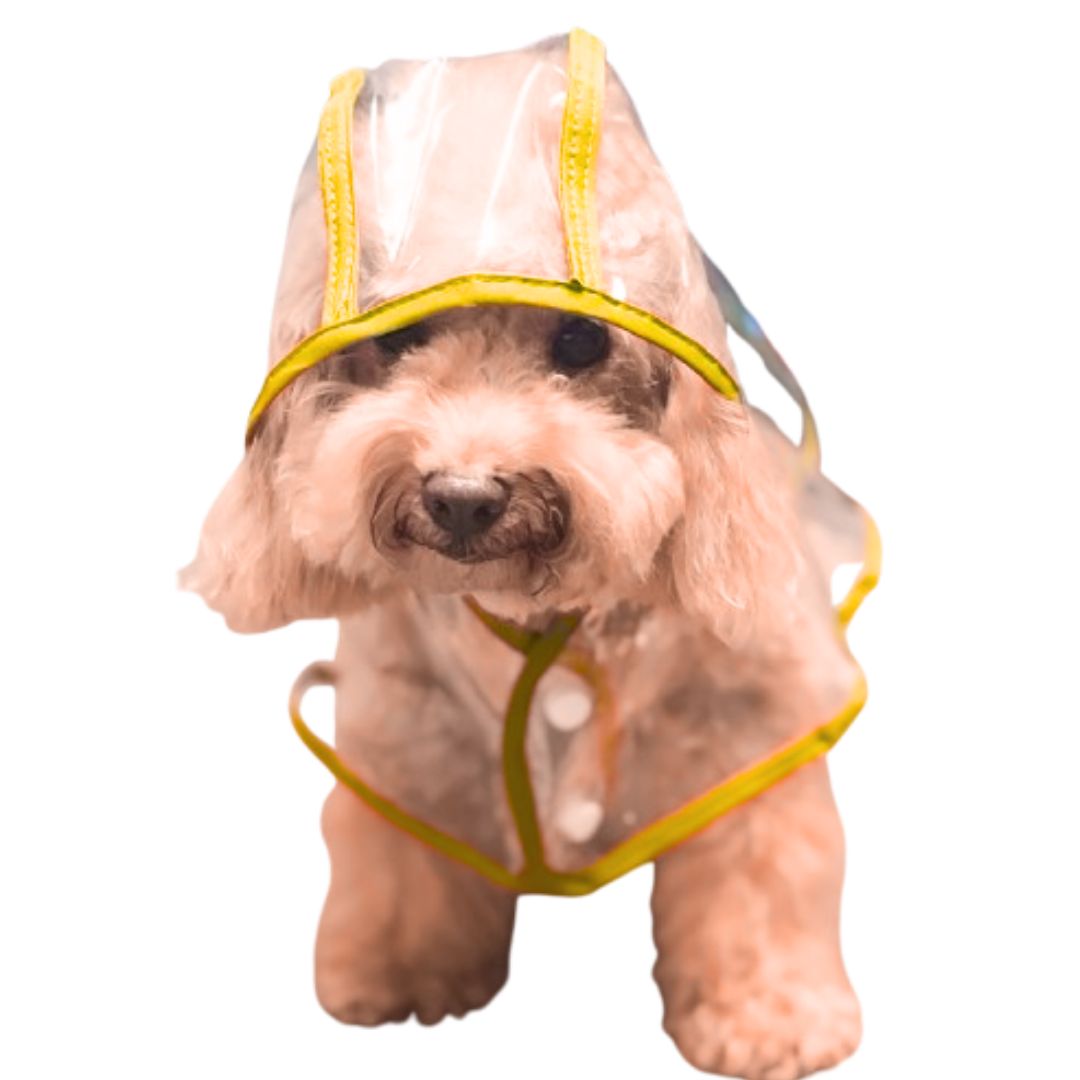 CAPA IMPERMEABLE DE LLUVIA PARA MASCOTAS TALLA 2 - 1