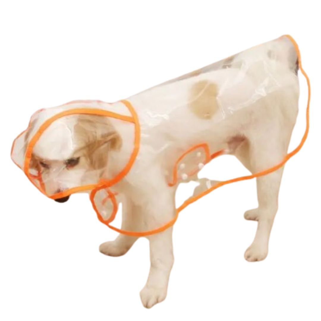 CAPA IMPERMEABLE DE LLUVIA PARA MASCOTAS TALLA 2 - 1