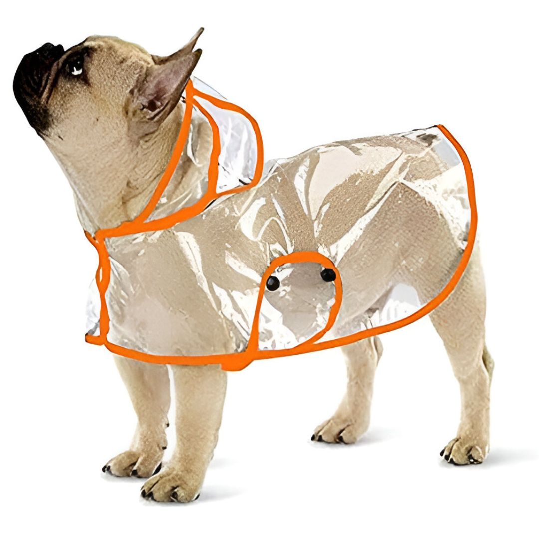 CAPA IMPERMEABLE DE LLUVIA PARA MASCOTAS TALLA 2 - 2