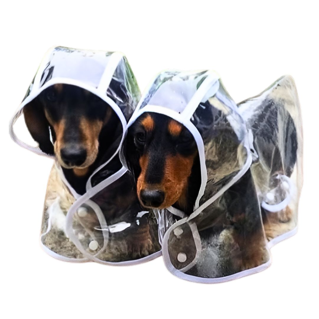 CAPA IMPERMEABLE DE LLUVIA PARA MASCOTAS TALLA 3 - 6