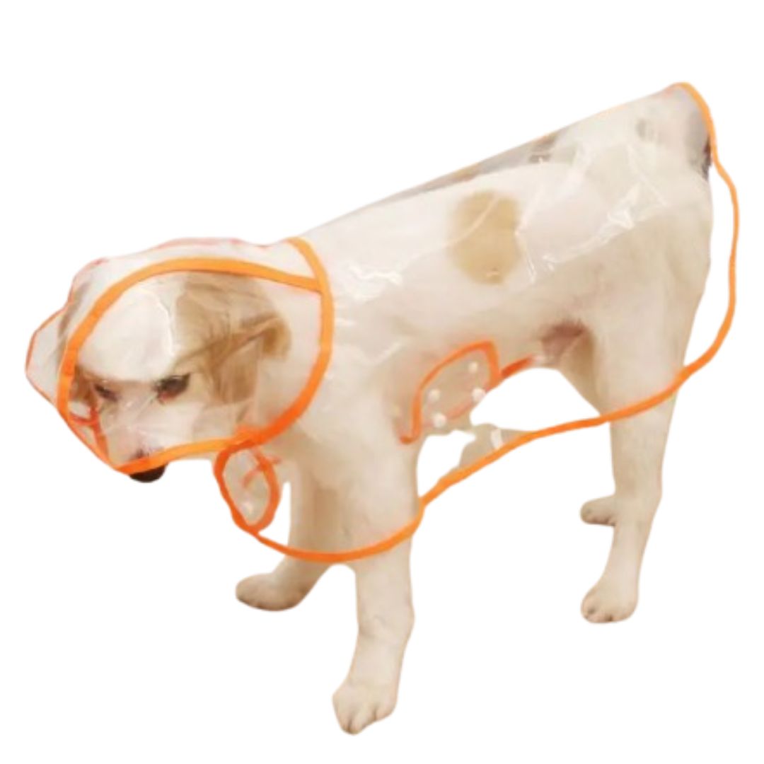 CAPA IMPERMEABLE DE LLUVIA PARA MASCOTAS TALLA 4 - 2