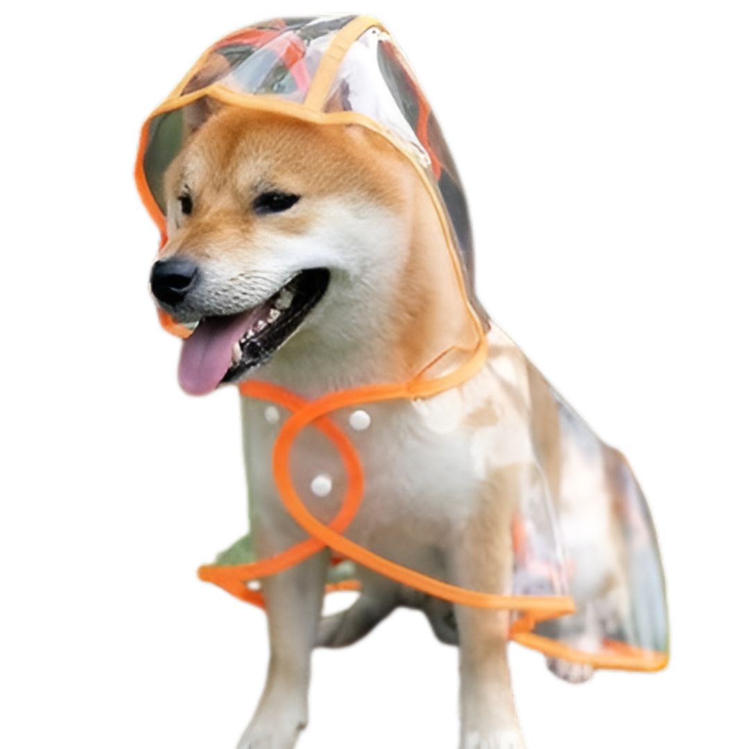 CAPA IMPERMEABLE DE LLUVIA PARA MASCOTAS TALLA 4 - 4