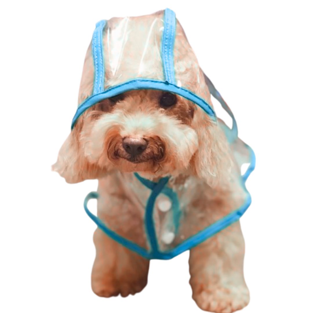 CAPA IMPERMEABLE DE LLUVIA PARA MASCOTAS TALLA 5 - 2
