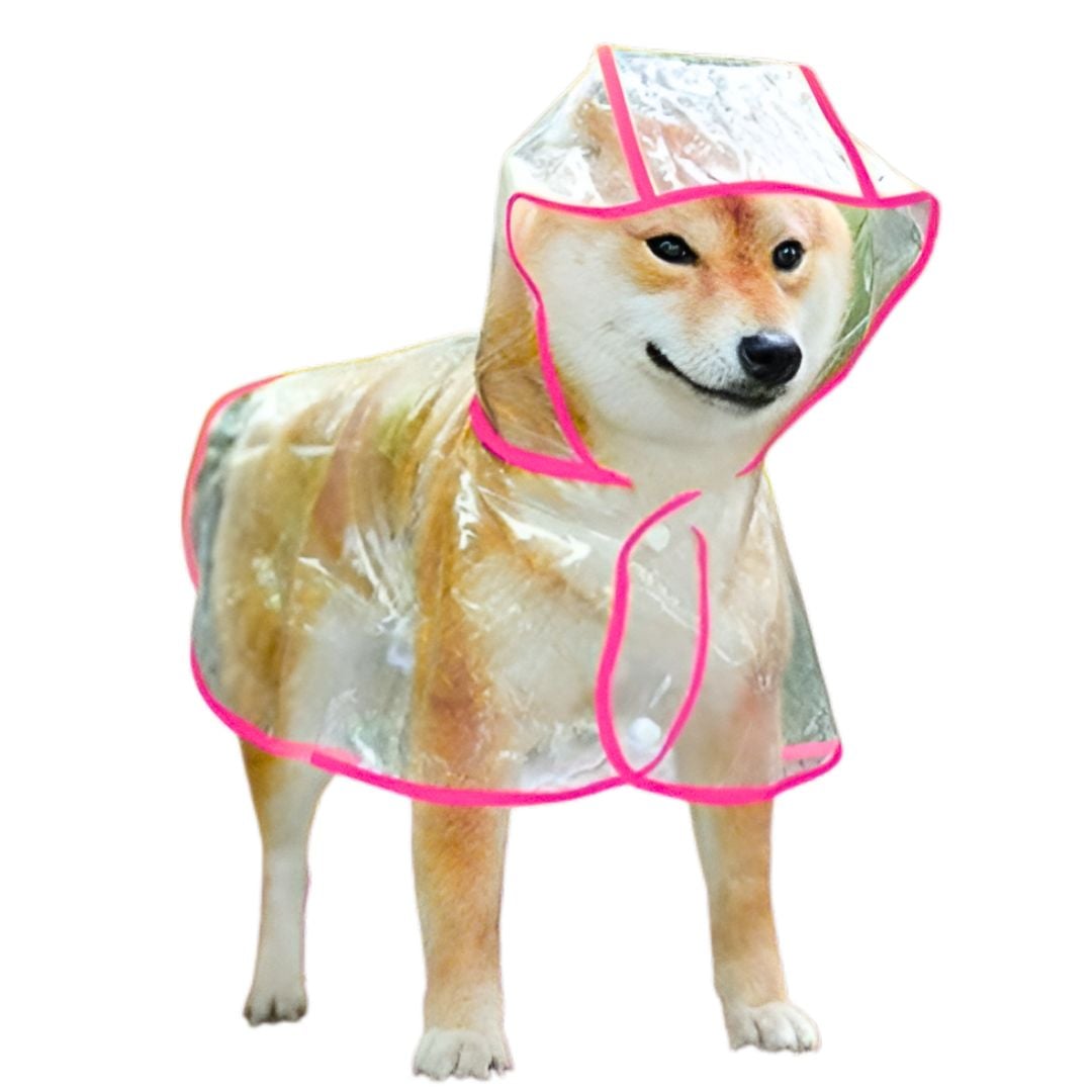 CAPA IMPERMEABLE DE LLUVIA PARA MASCOTAS TALLA 5 - 2