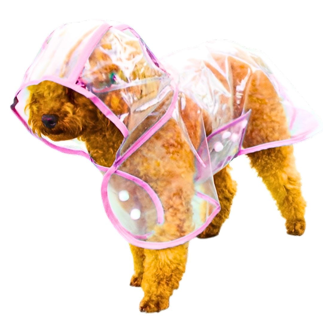 CAPA IMPERMEABLE DE LLUVIA PARA MASCOTAS TALLA 5 - 3