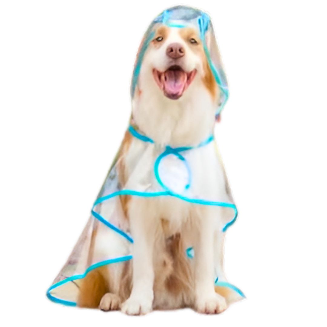 CAPA IMPERMEABLE DE LLUVIA PARA MASCOTAS TALLA 8 - 2