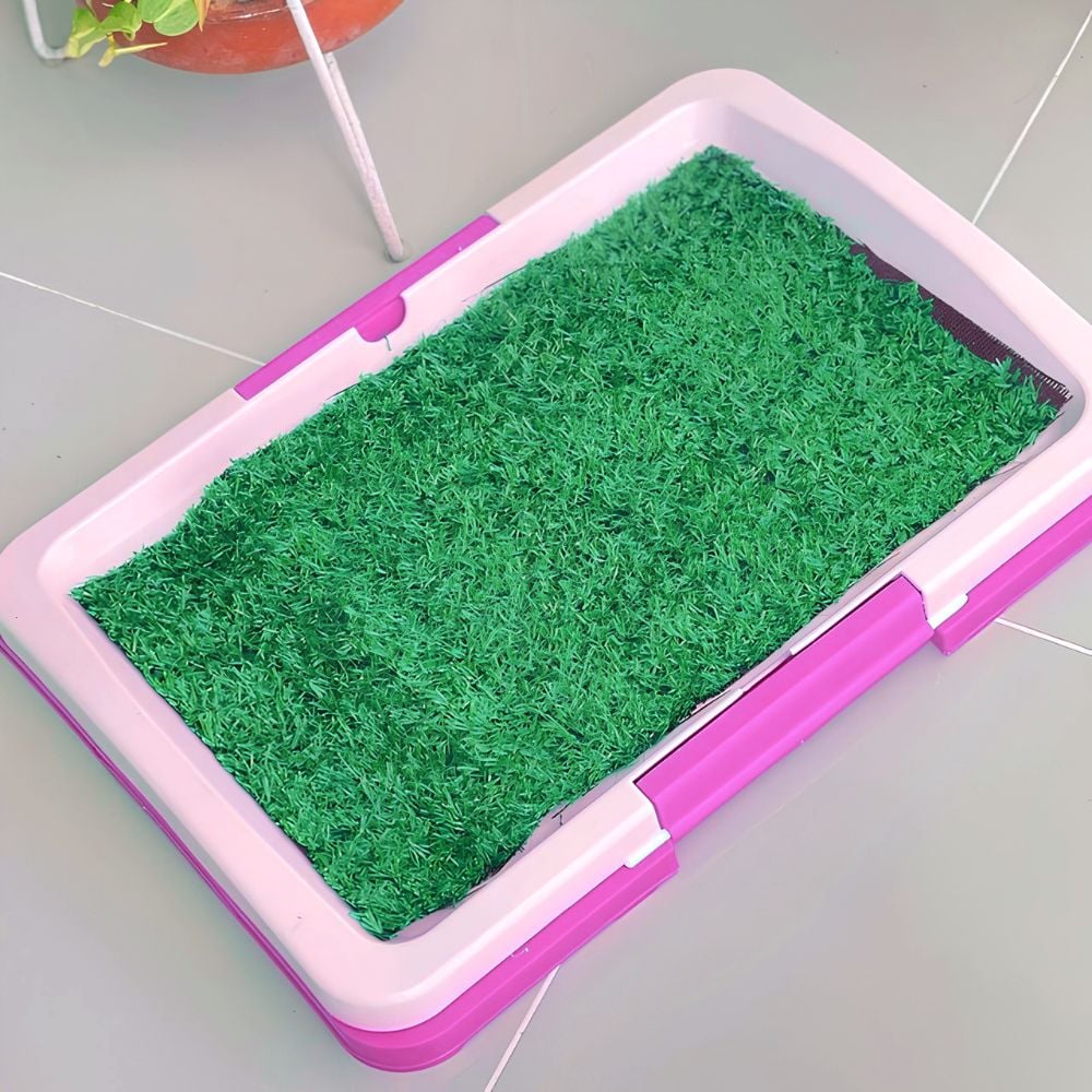 BAÑO ECOLÓGICO CÉSPED DE ENTRENAMIENTO SANITARIO PARA MASCOTAS L - 4