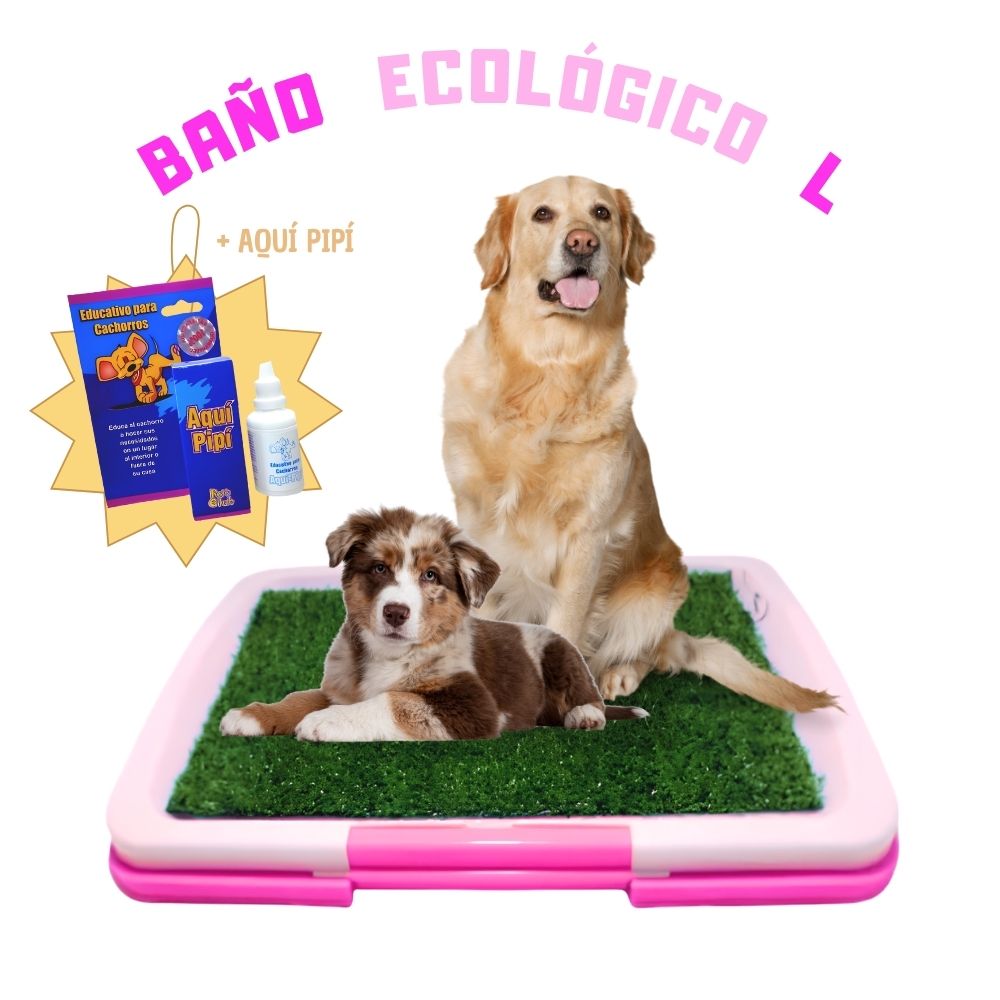 BAÑO ECOLÓGICO CÉSPED PARA MASCOTAS L + EDUCADOR SANITARIO AQUÍ PIPÍ - 1