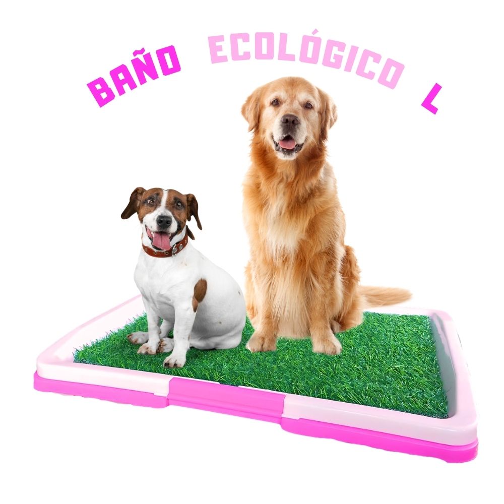 BAÑO ECOLÓGICO CÉSPED PARA MASCOTAS L + EDUCADOR SANITARIO AQUÍ PIPÍ - 4