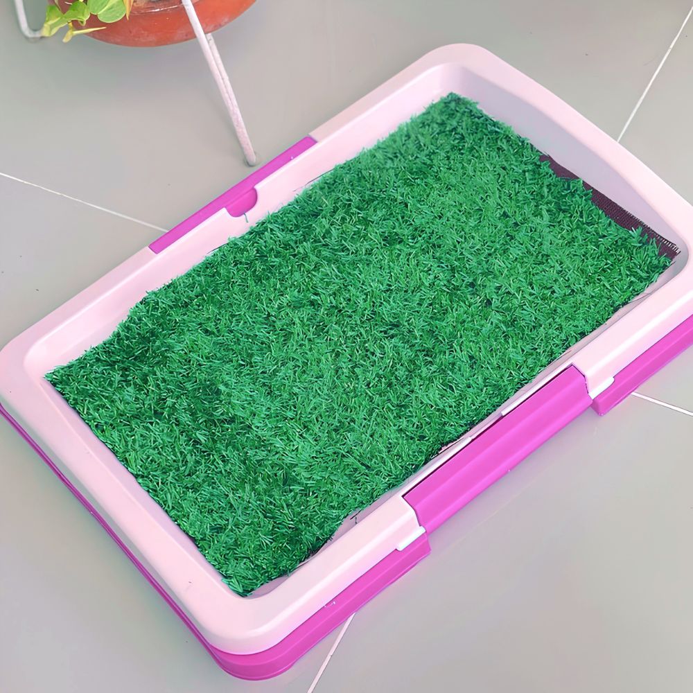 BAÑO ECOLÓGICO CÉSPED PARA MASCOTAS L + EDUCADOR SANITARIO AQUÍ PIPÍ - 5