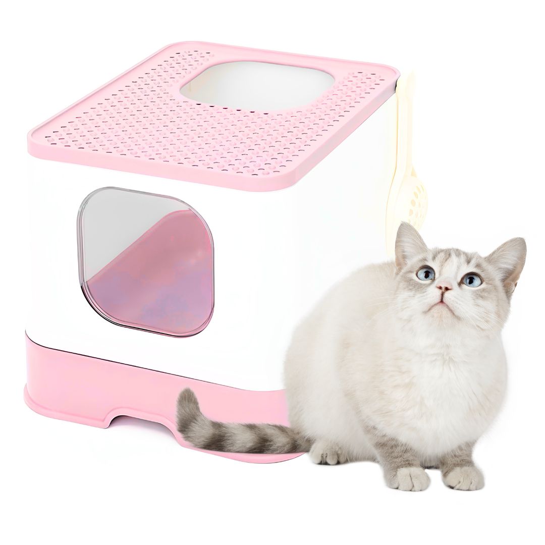 ARENERO BOX PLEGABLE XL PARA GATOS GRIS - 1