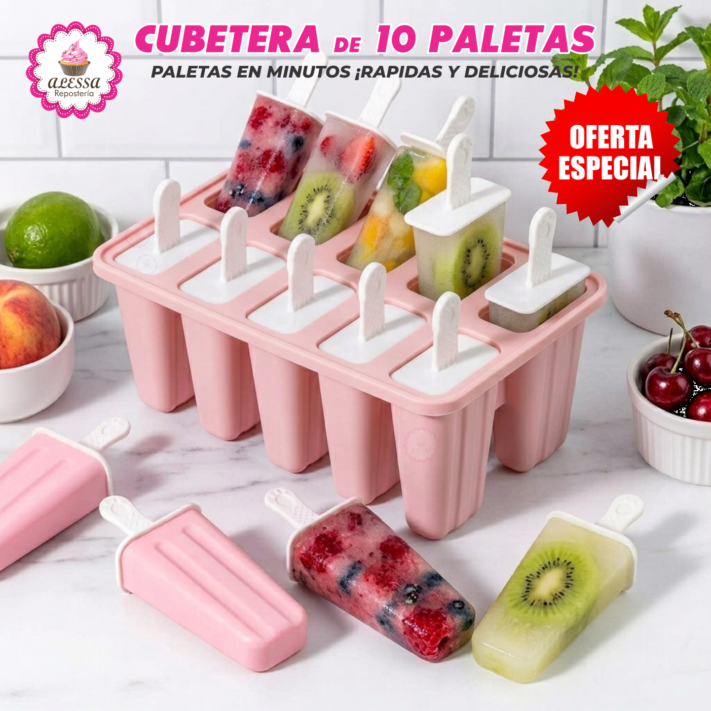 MOLDE CUBETERA DE 10 PALETAS PARA HELADOS CHOCOLATE REPOSTERIA - 5