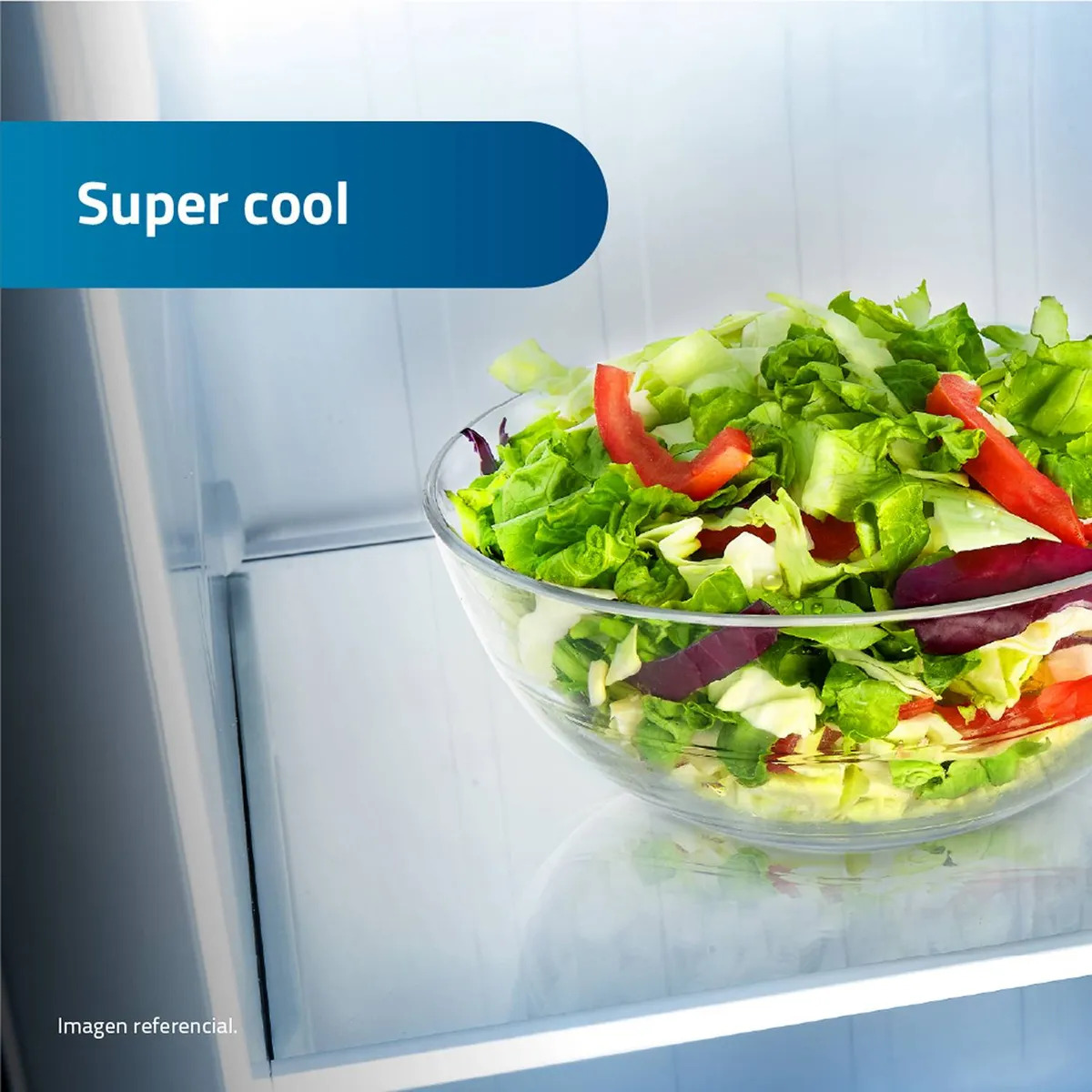 REFRIGERADORA INDURAMA 508L RI-788DI CROMA - 4