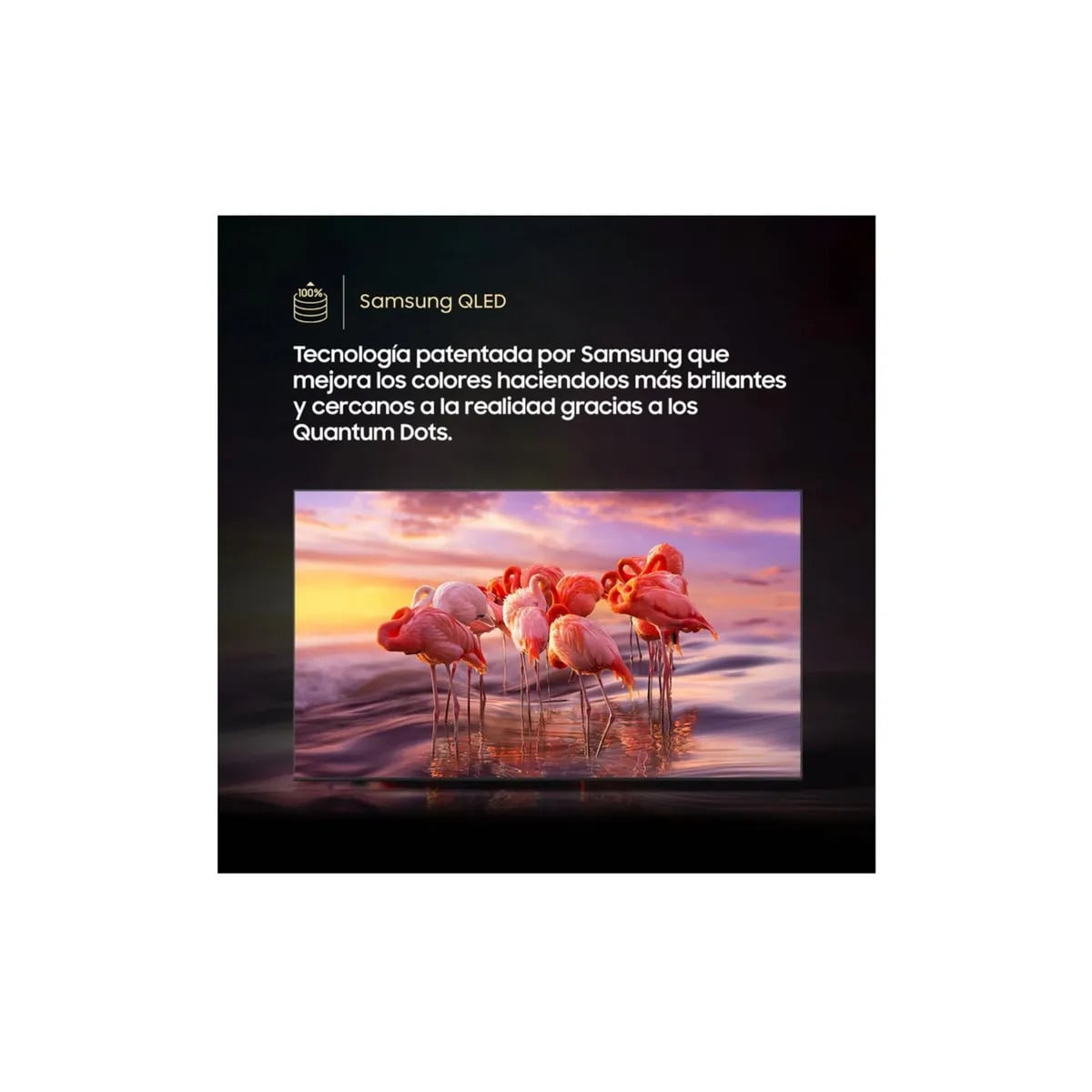 TELEVISOR SAMSUNG QLED 55' SMART UHD 4K VISION AI 55Q8F - 4