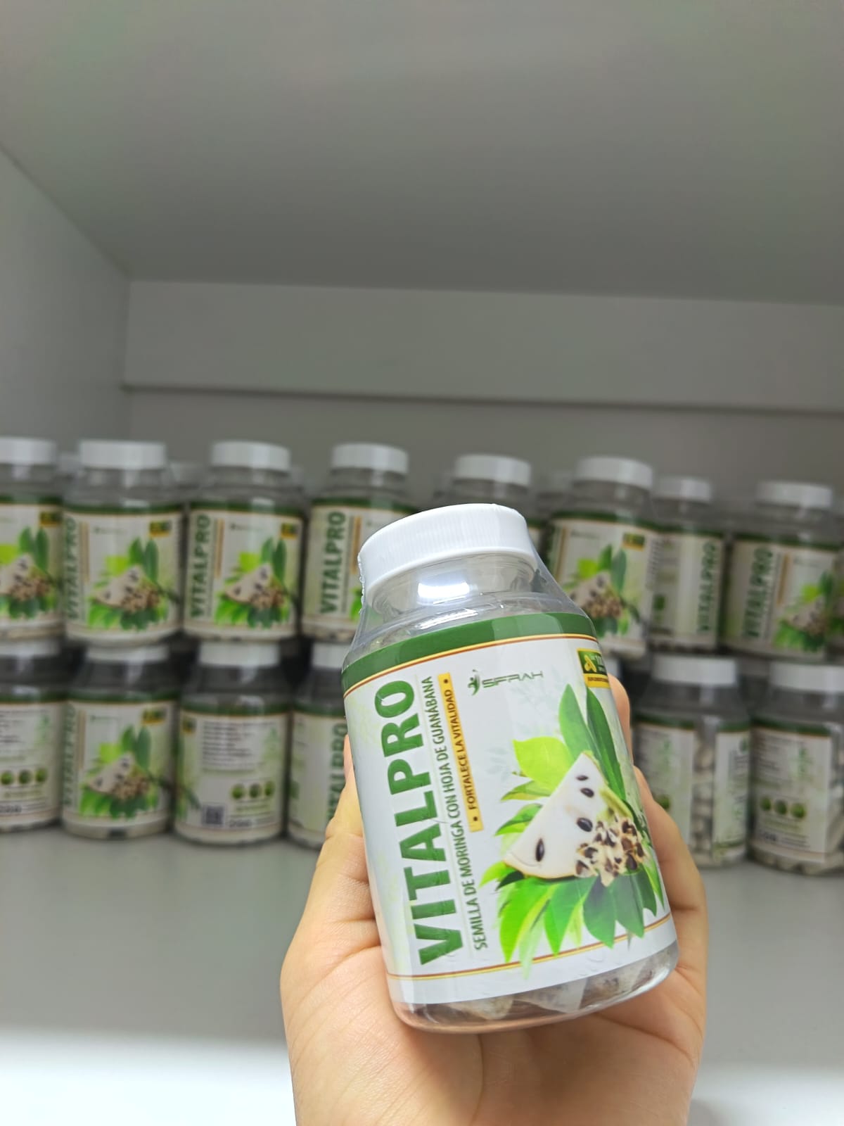 VITALPRO - SEMILLAS DE MORINGA CON HOJA DE GUANABANA - POTENTE ANTIOXIDANTE (100 CAP) - 5