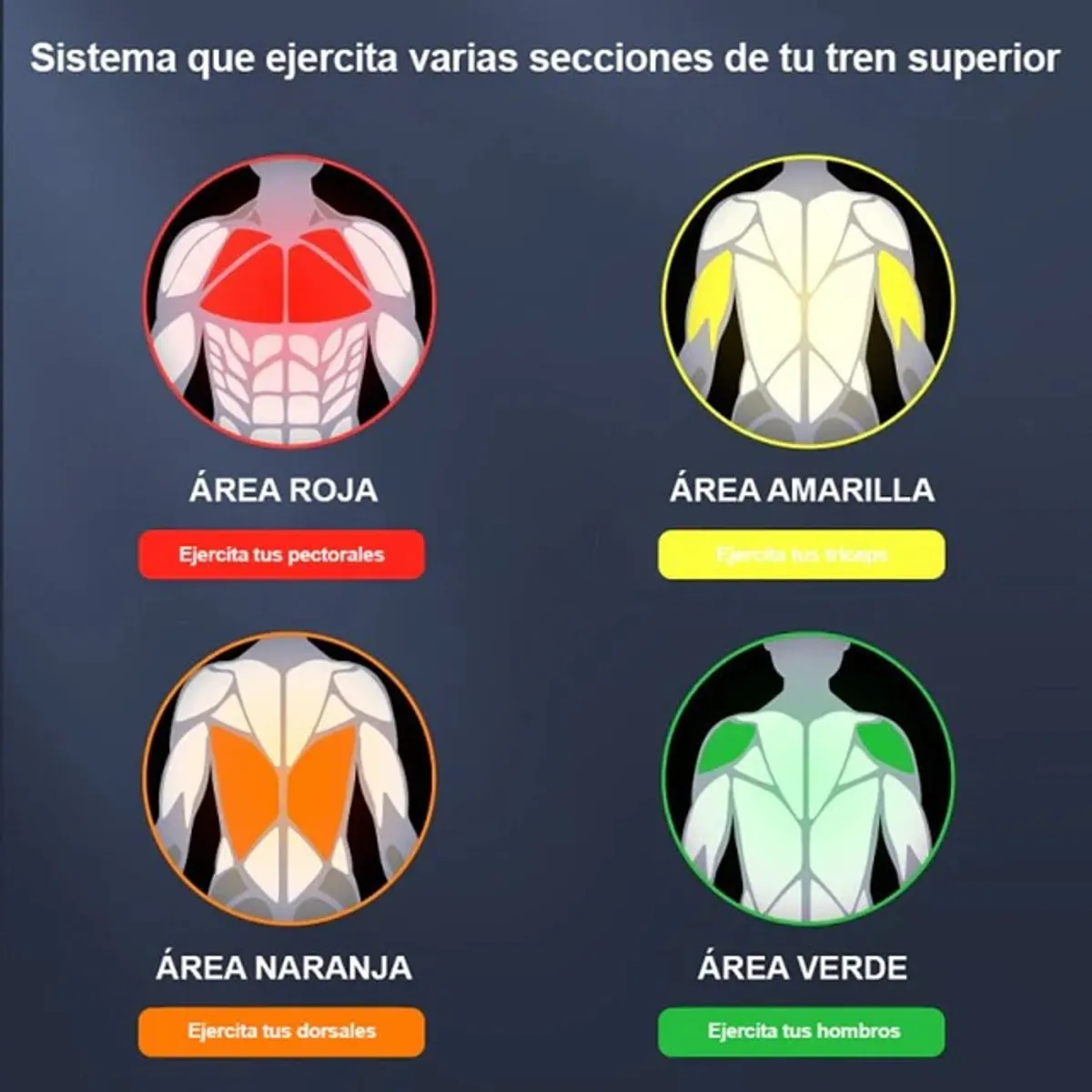 TABLEROS PROIRON TABLERO PUSH-UP MULTIFUNCIONAL - 2