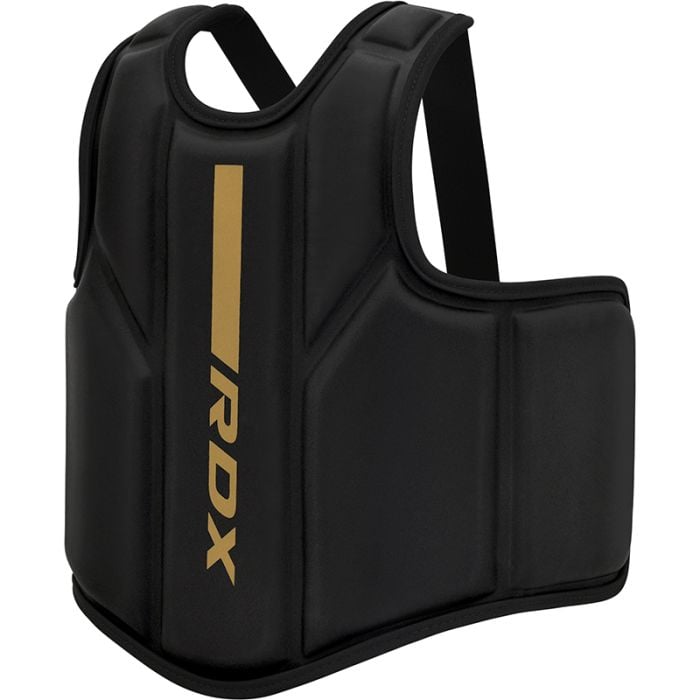 PROTECTOR DE PECHO KARA F6 DORADO - 3