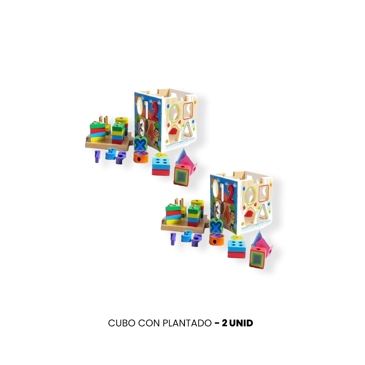 JUEGO DIDÁCTICO 2 UN CUBO PLANTADO - 2
