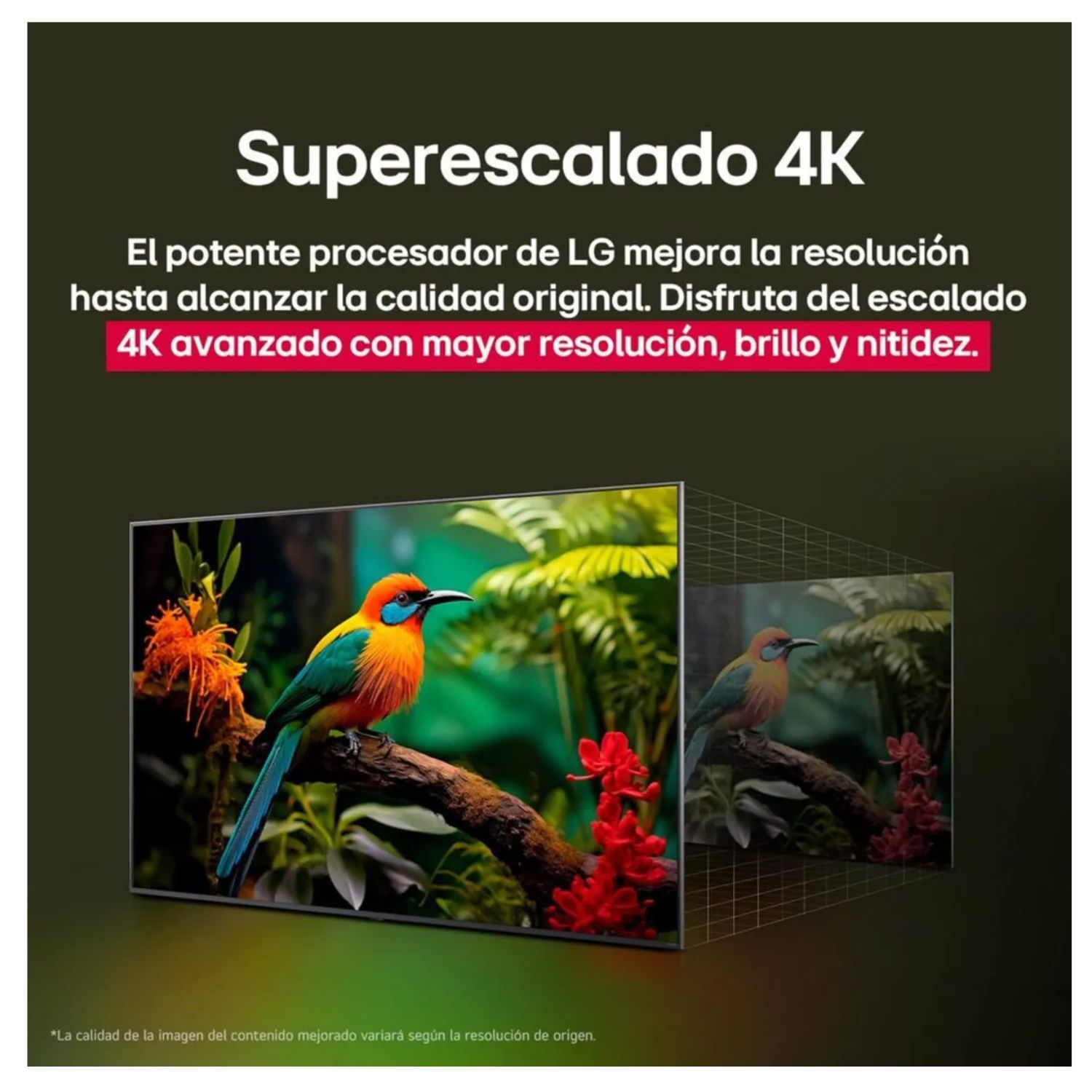LG QNED 50 4K UHD SMART TV CON AI MODELO 50QNED73ASA 2026 - 8