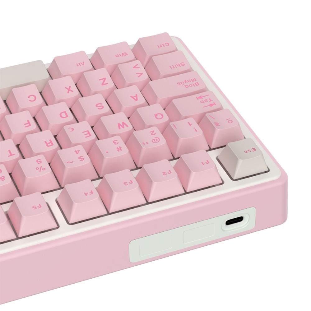TECLADO ROYAL KLUDGE RK-R75 CABLEADO PINK MELODY - 4