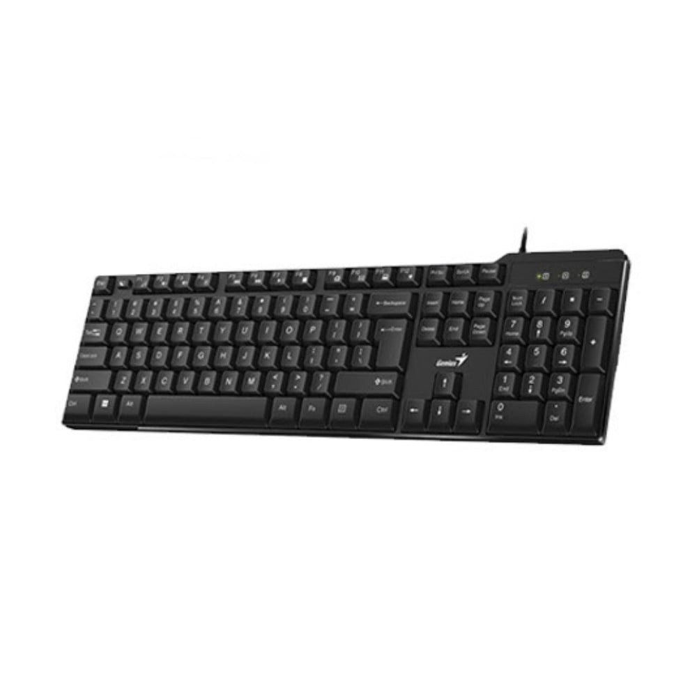 TECLADO GENIUS KB-100X USB BLACK (31310049401) - 1
