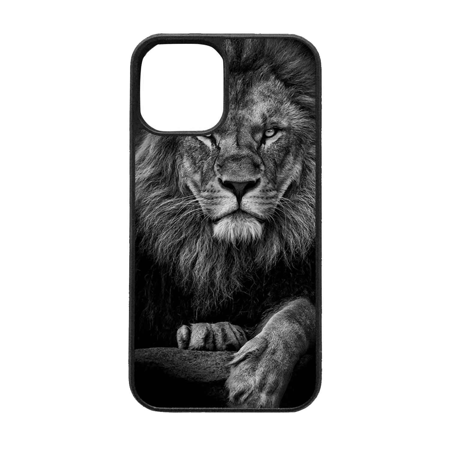 FUNDA PROTECTOR CASE PARA IPHONE 12 - 1