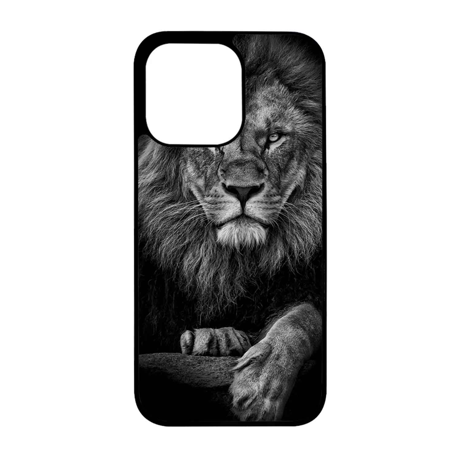 FUNDA PROTECTOR CASE PARA IPHONE 13 PRO - 1