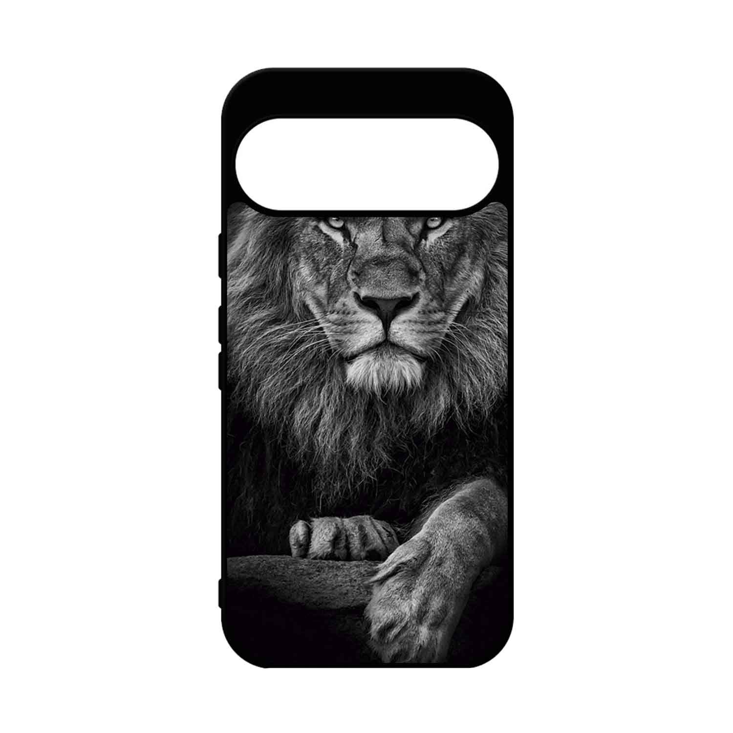 FUNDA PROTECTOR CASE PARA GOOGLE PIXEL 9 - 1