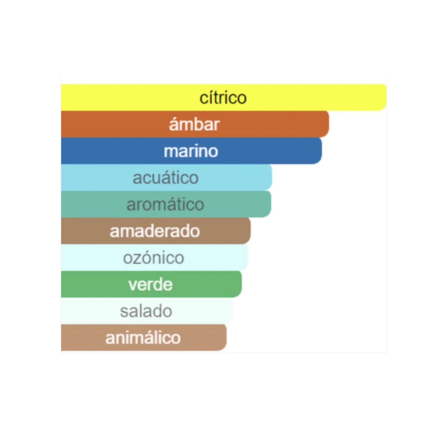 PERFUME PARA HOMBRE CÍTRICO 100 ML - 2