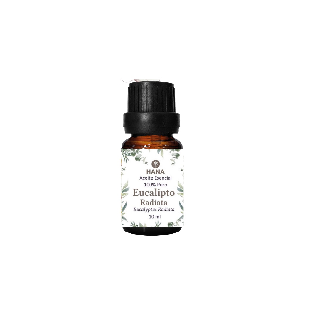 ACEITE ESENCIAL HANA DE EUCALIPTO RADIATA X 10 ML - 1