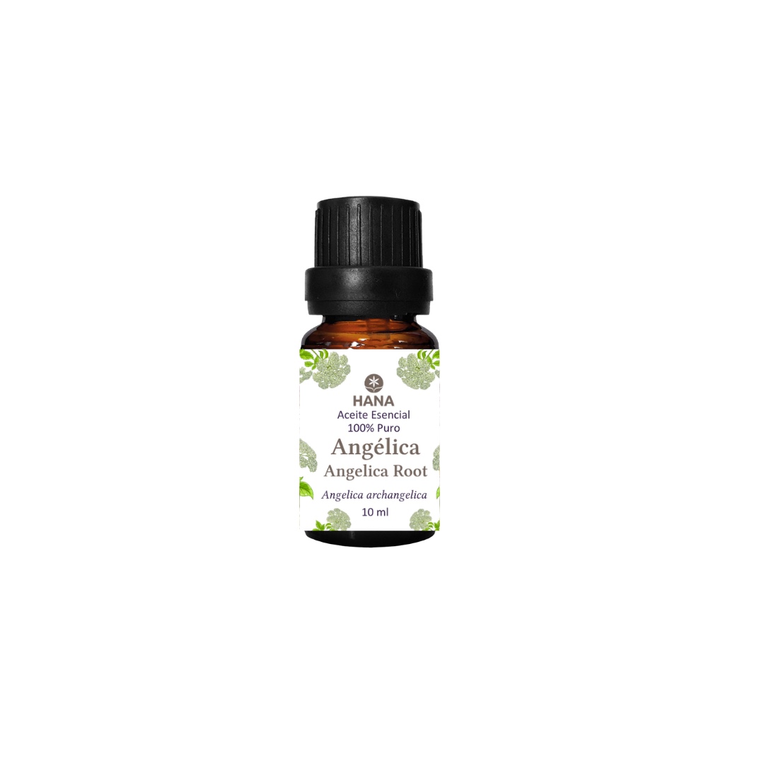 ACEITE ESENCIAL HANA DE ANGELICA X 10 ML - 1