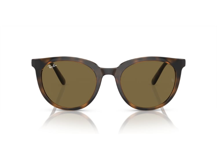 LENTES DE SOL DARK HAVANA RAY-BAN - 1