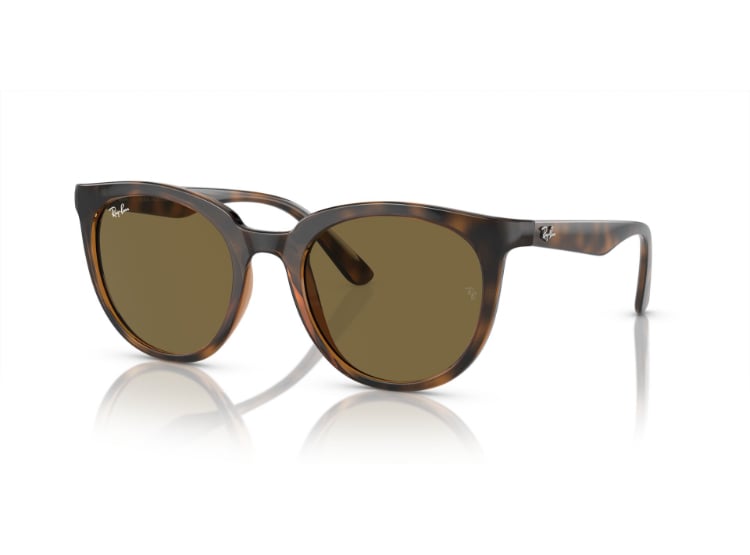 LENTES DE SOL DARK HAVANA RAY-BAN - 2