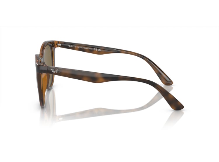 LENTES DE SOL DARK HAVANA RAY-BAN - 3