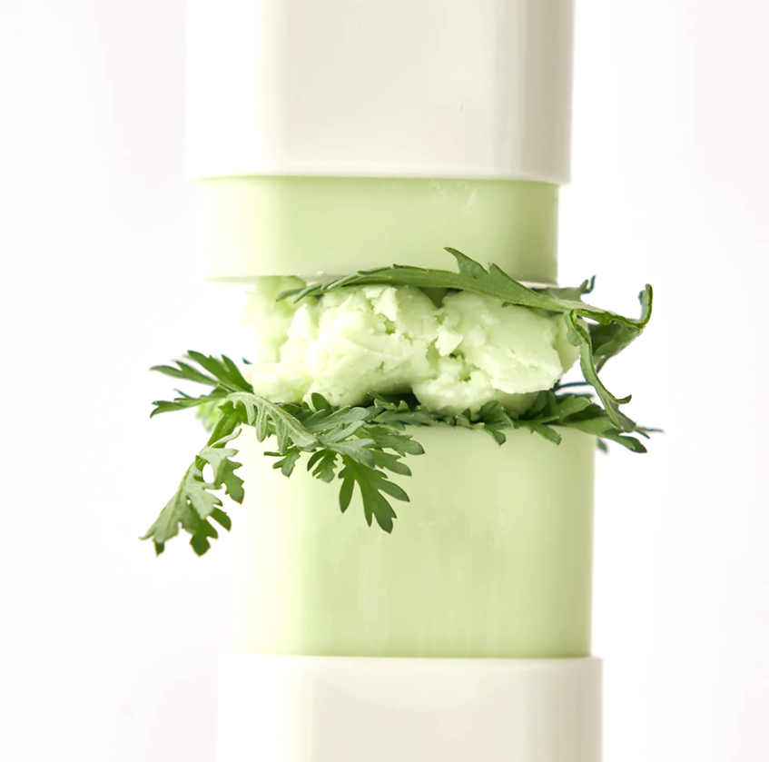 BEAUTY OF JOSEON MATTE SUN STICK MUGWORT+CAMELIA SPF50PA++++ - 2