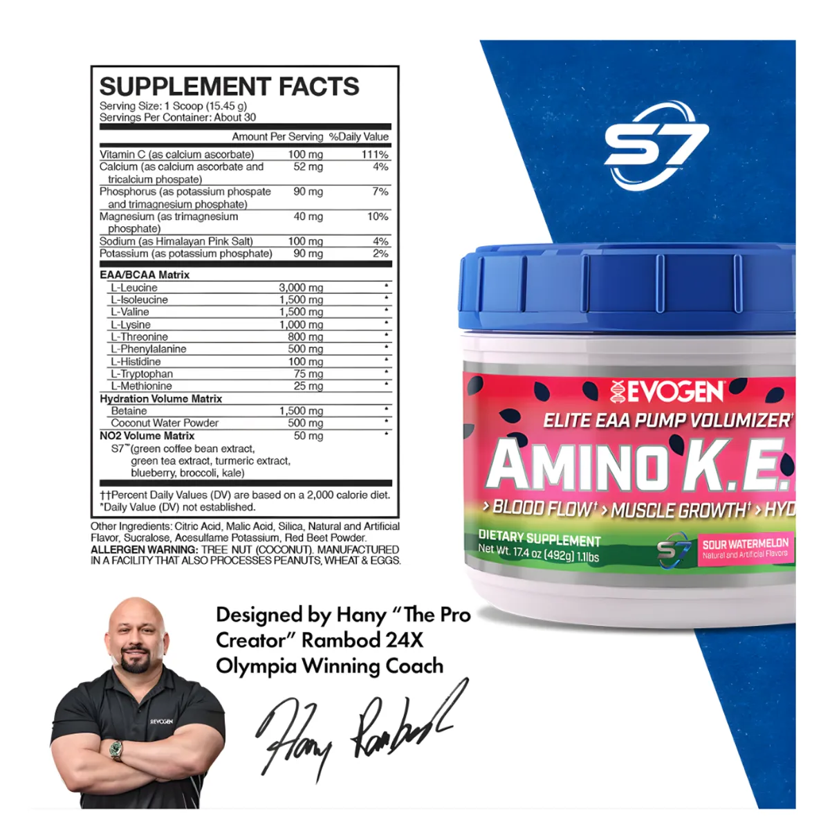 AMINOÁCIDOS AMINO K.E.M 30 SERVICIOS EVOGEN - BLUEBERRY AND APPLE - 2