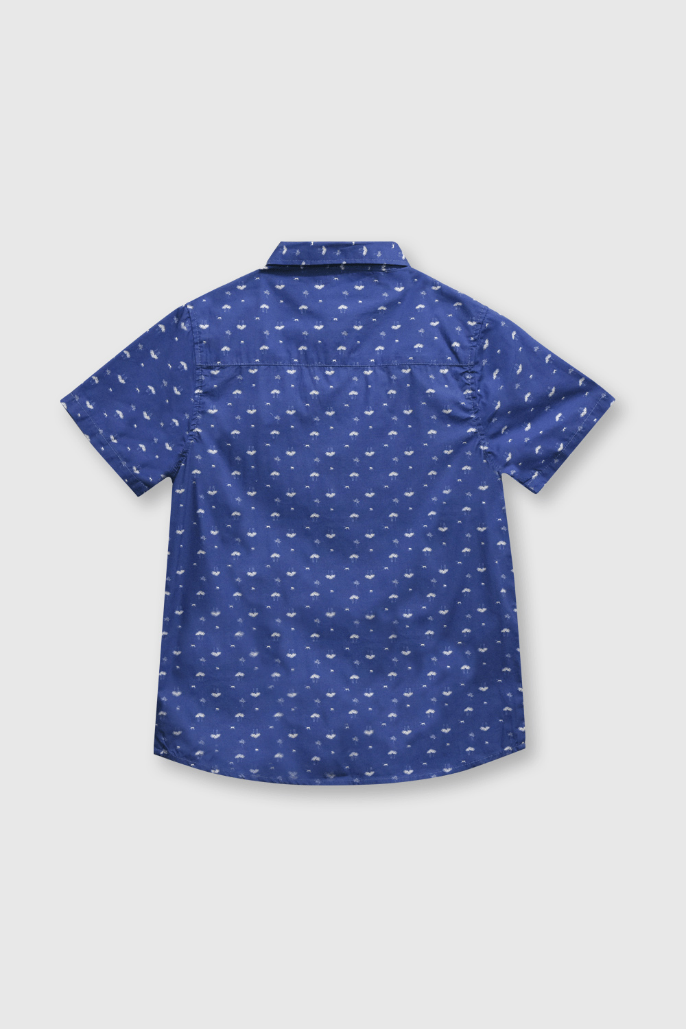 CAMISA COLLOKY NIÑO CAPN0350V24 AZUL - 5
