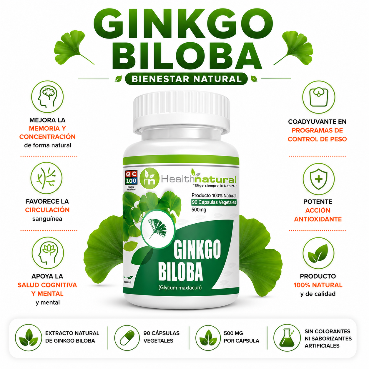 GINKGO BILOBA HEALTHNATURAL 500MG - 1