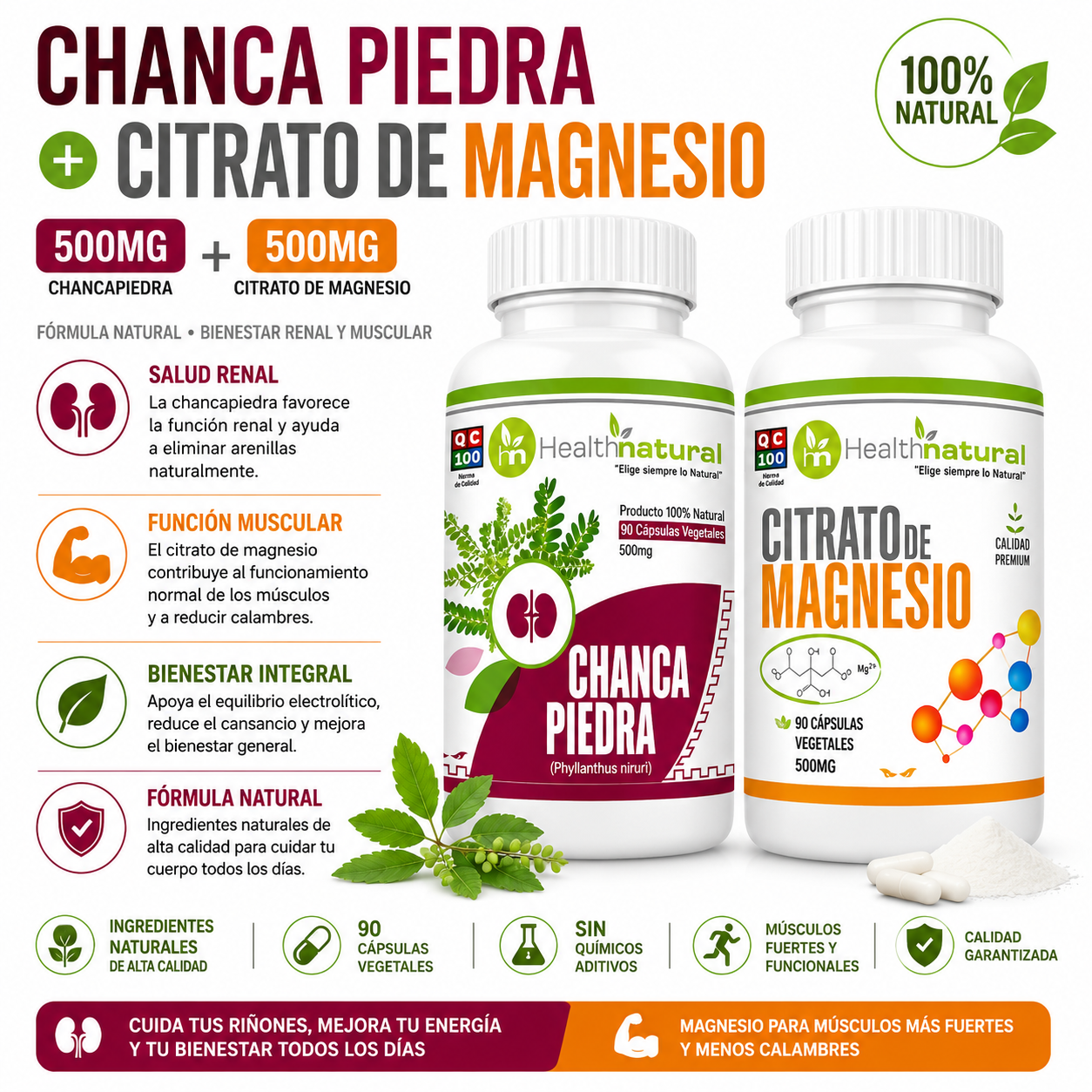 CHANCA PIEDRA HEALTHNATURAL + CITRATO DE MAGNESIO HEALTHNATURAL 500MG - 1