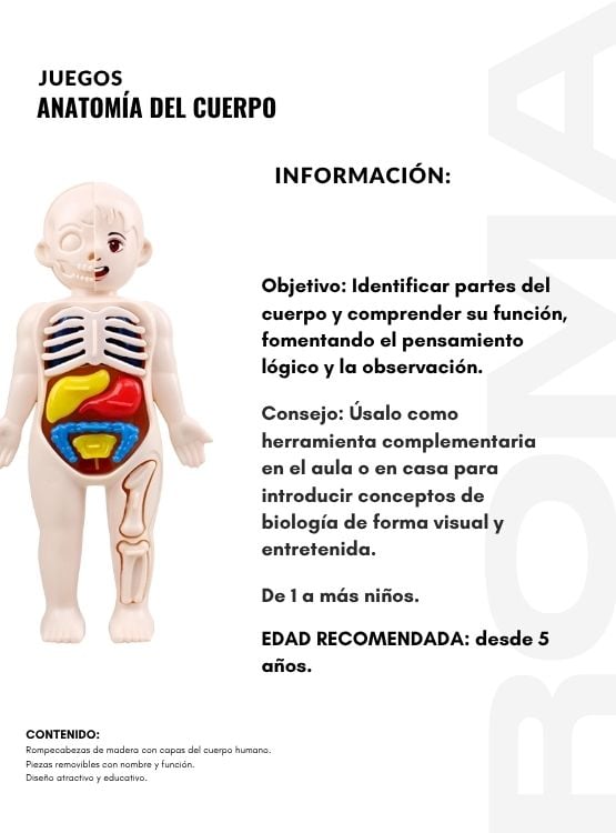 JUEGO EDUCATIVO DE ANATOMÍA DEL CUERPO ENCAJABLE - 2