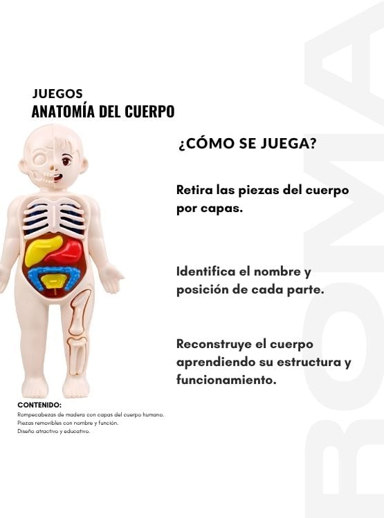 JUEGO EDUCATIVO DE ANATOMÍA DEL CUERPO ENCAJABLE - 3