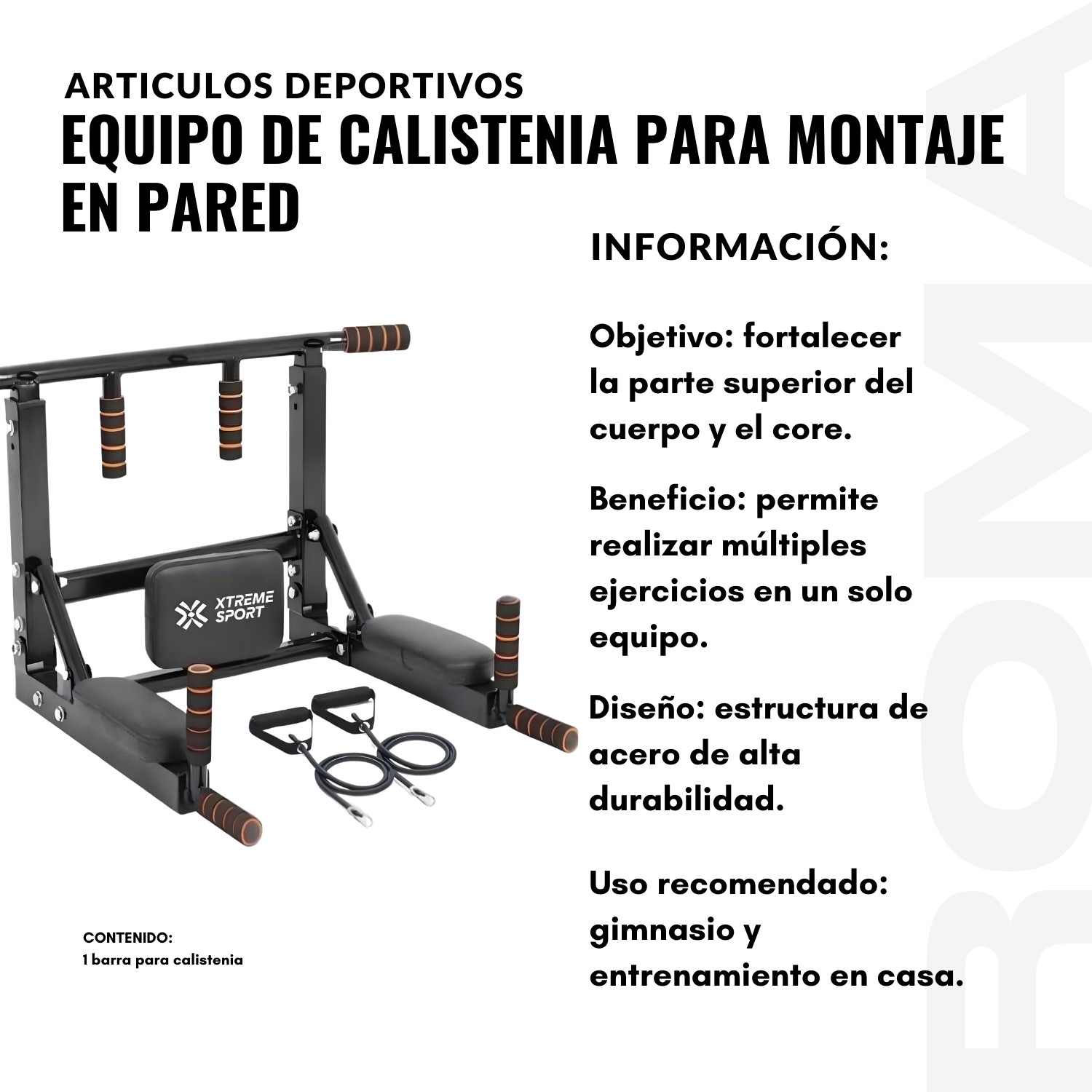 EQUIPO DE CALISTENIA PARA MONTAJE EN PARED - 2