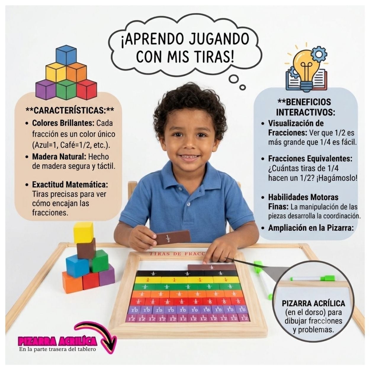 Tiras de Fracciones Montessori de Madera - Matemático con Pizarra Acrílica - 2