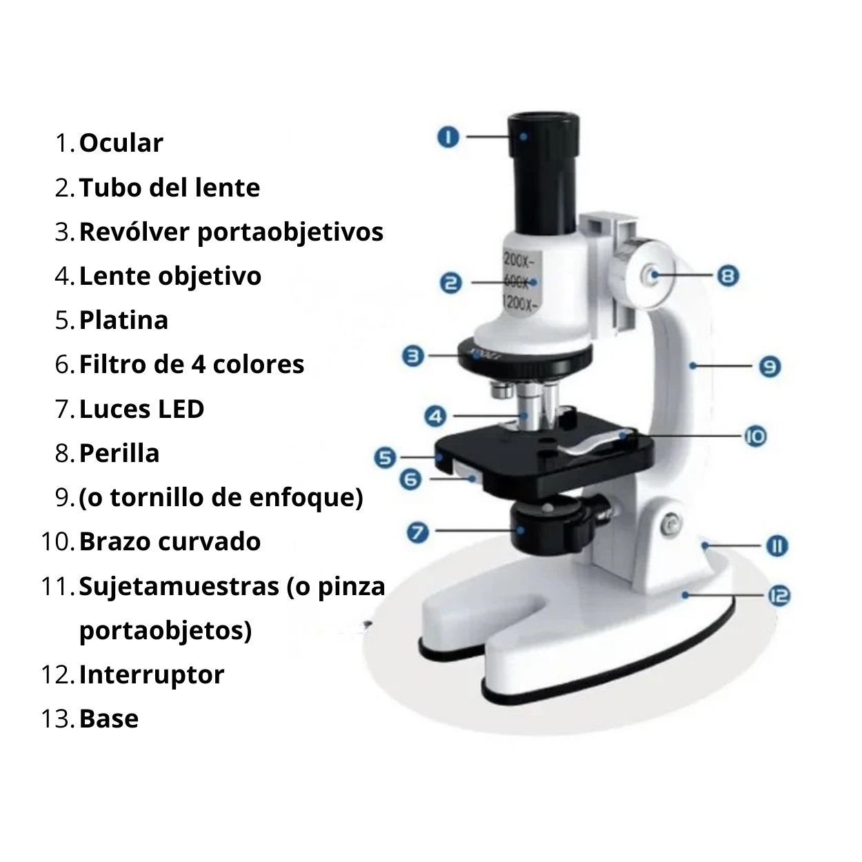 MICROSCOPIO INFANTIL X1200 CON LUZ LED Y SOPORTE PARA CELULAR - 4
